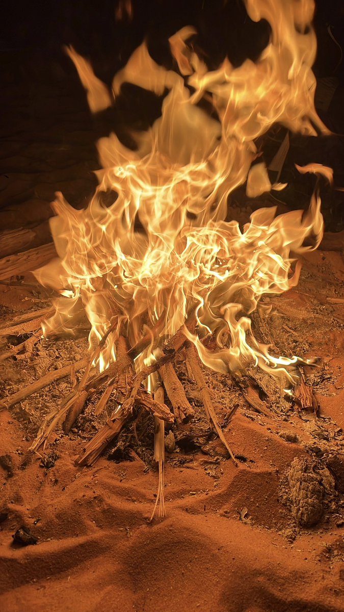 lfahn7's tweet image. 