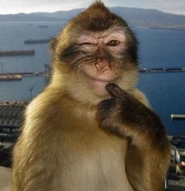 ess_more's tweet photo. kaslari bir tik acip inceltince aynadakiyle https://t.co/48QmkCOuXS