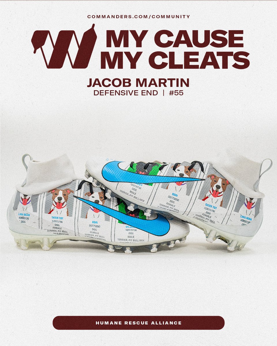 "I think as humans it's our responsibility to be the voice for those who don't have a voice"🐶🤍

📰 bit.ly/4pC54K4