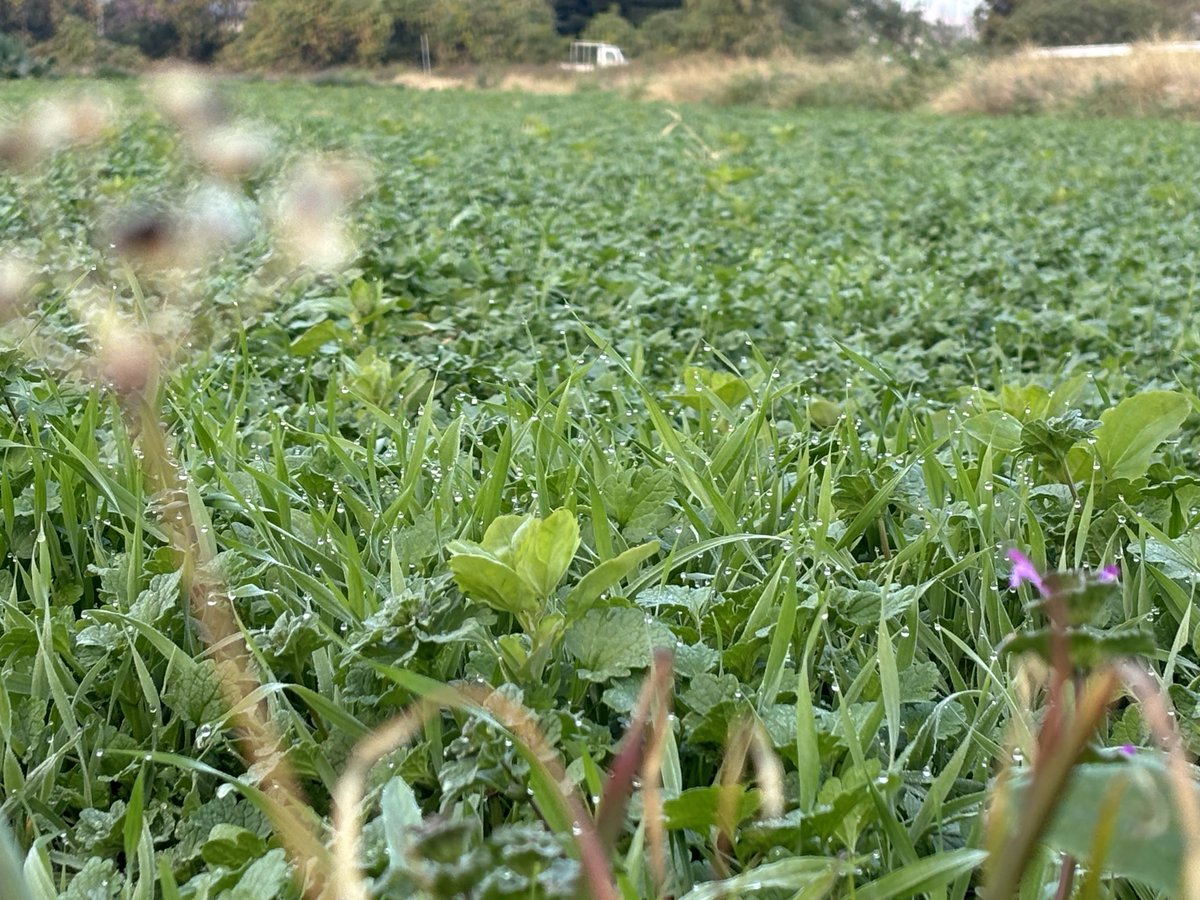 早く起きれたので散歩に行こうかなと思います。
下の写真は何が見えますか？