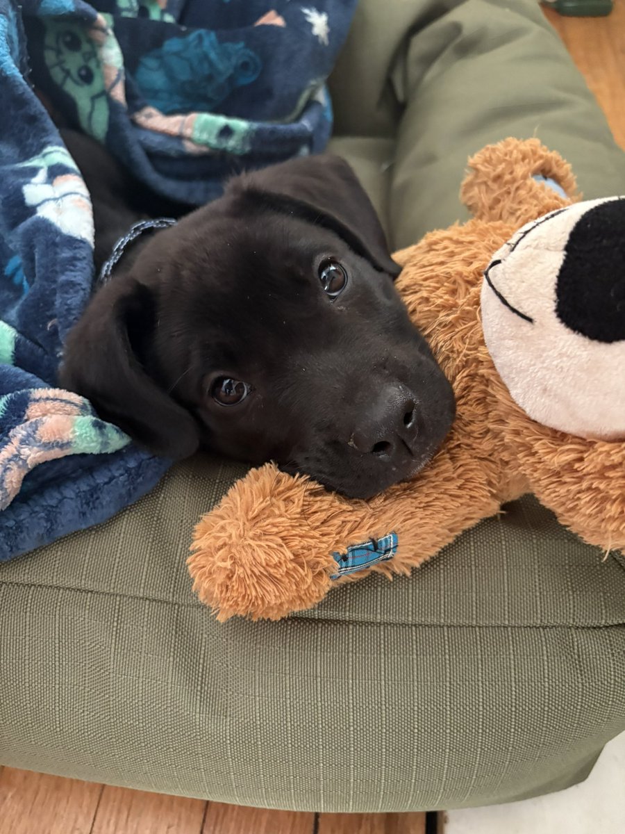 Wagner’s Johnson tweet media