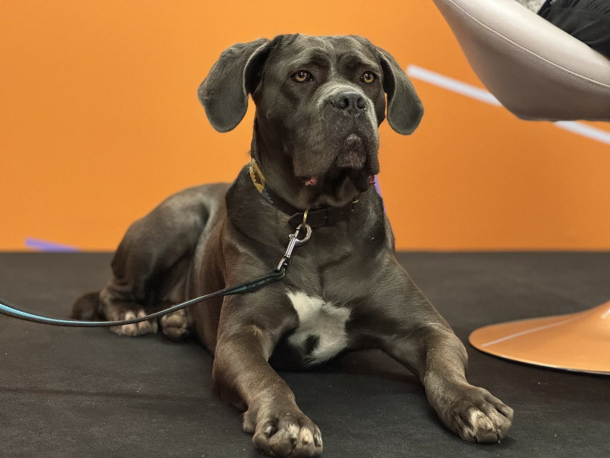 Alex Dowsett tweet media