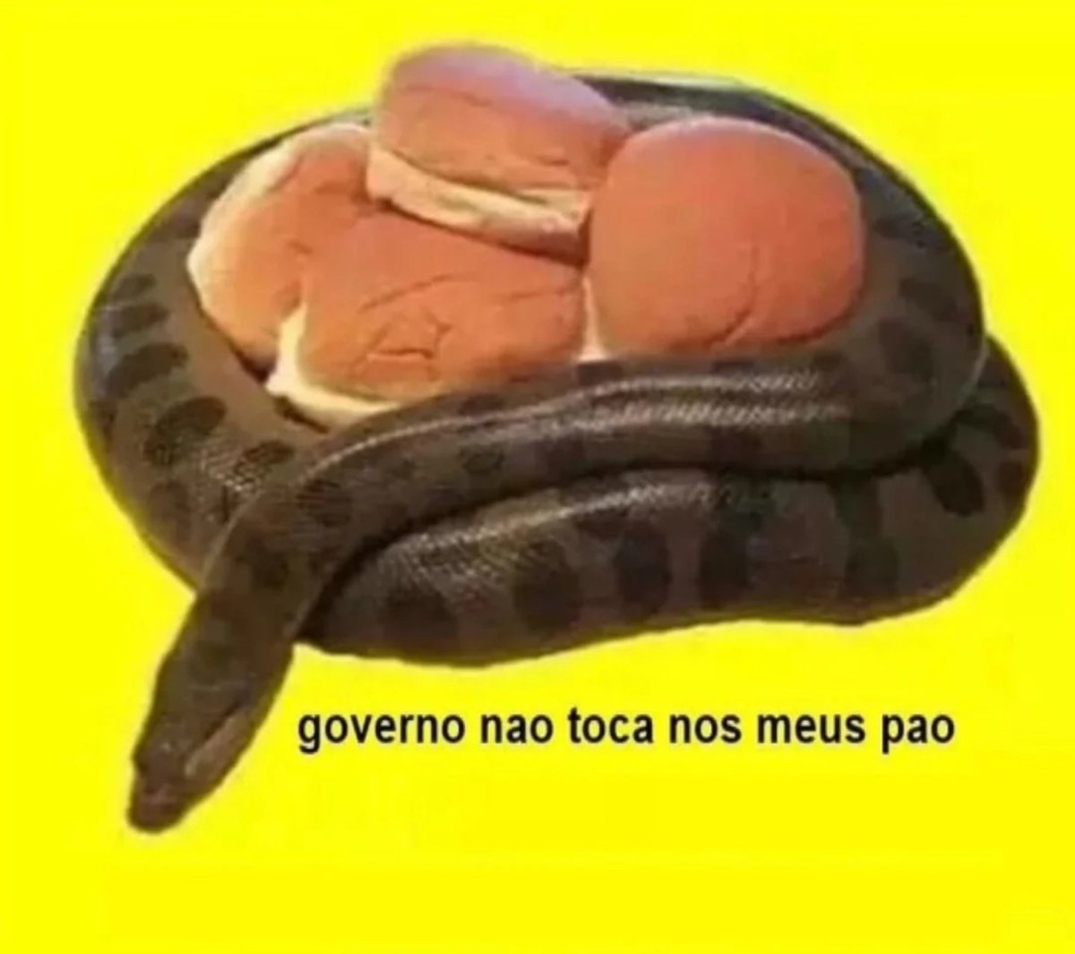 ͏ ͏ ͏ tweet media