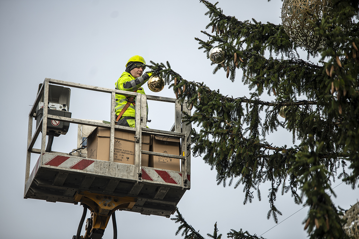 vit_hassan's tweet image. FOTOGALERIE: Generálka rozsvícení a zdobení stromu na Staroměstském náměstí  

Více fotografií ZDE:
prahain.cz/fotogalerie/ge…

#oldtownsquare #praha #prague #czechrepublic #christmas