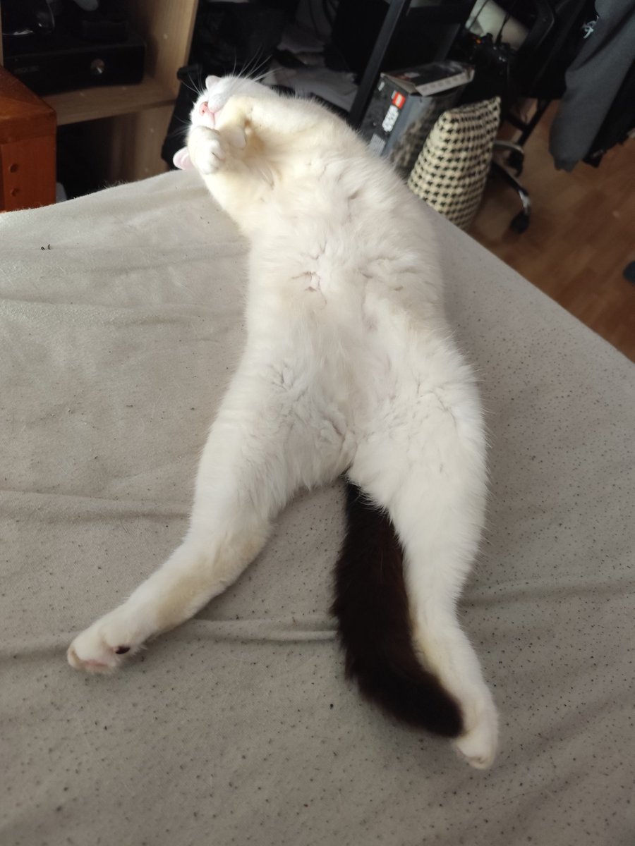 HandiJill 😼 tweet media