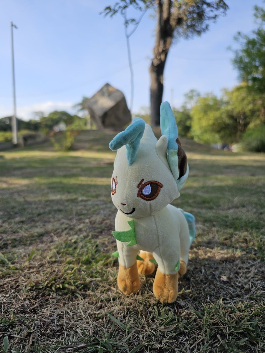 Vap82929229's tweet image. #plush #leafeon