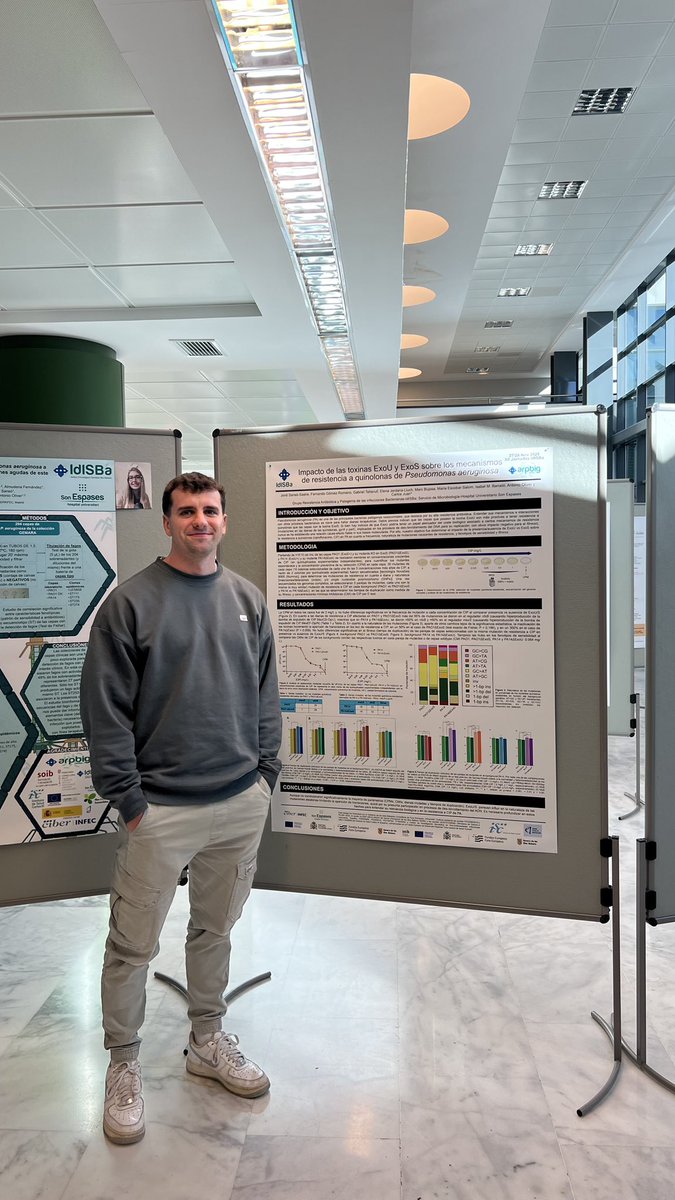 arpbigidisba tweet media