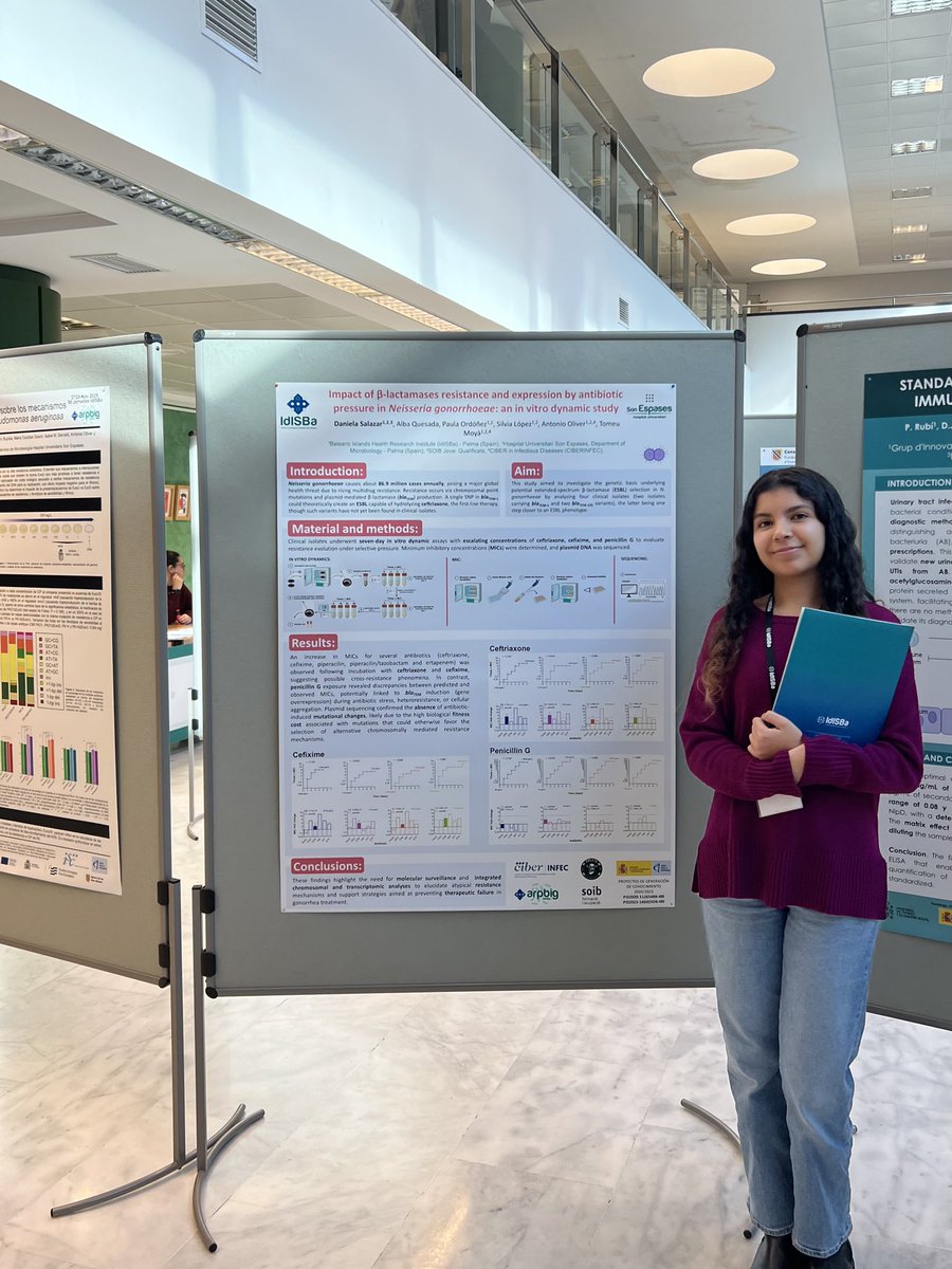 arpbigidisba tweet media