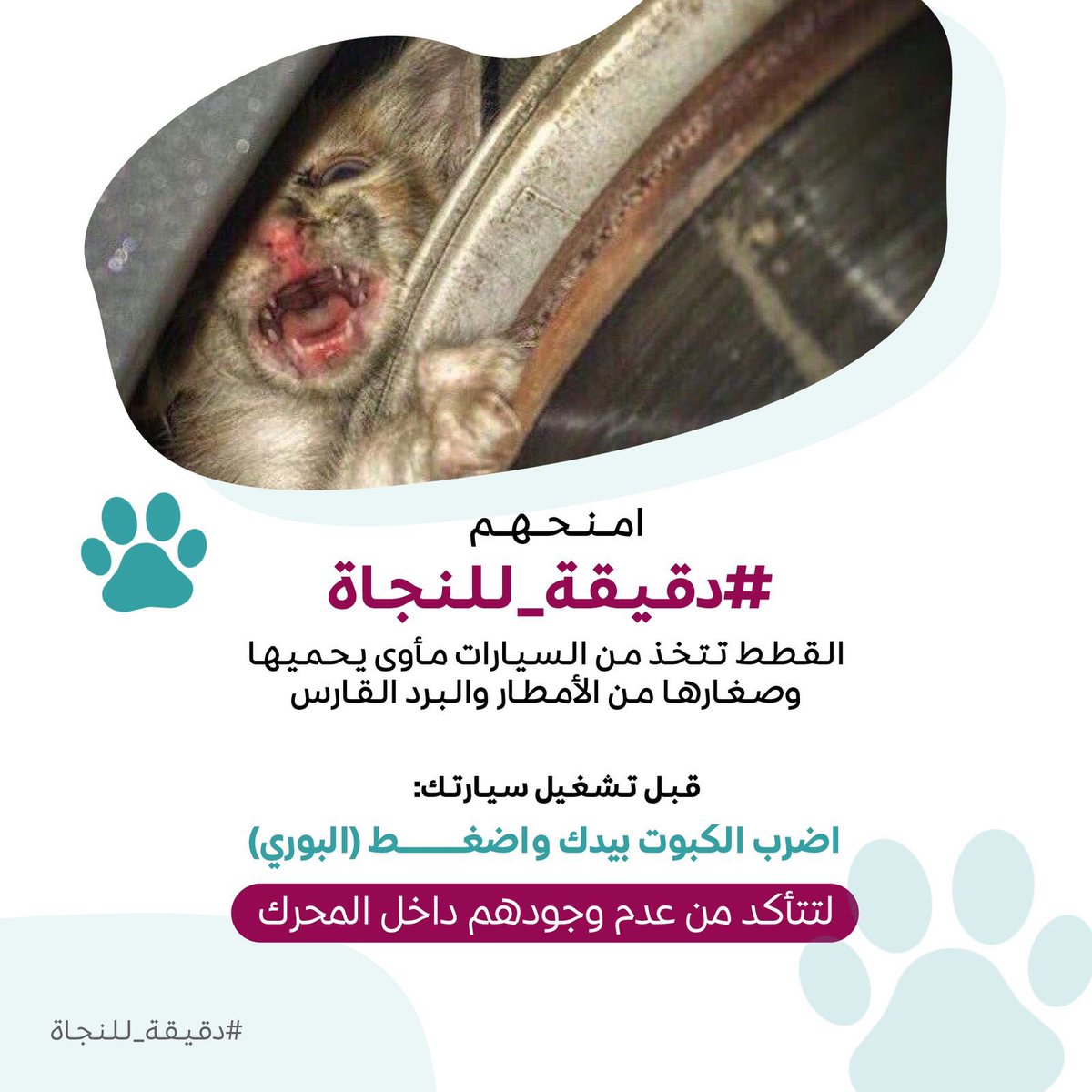 #الرفق_بالحيوان 
#دقيقة_للنجاة