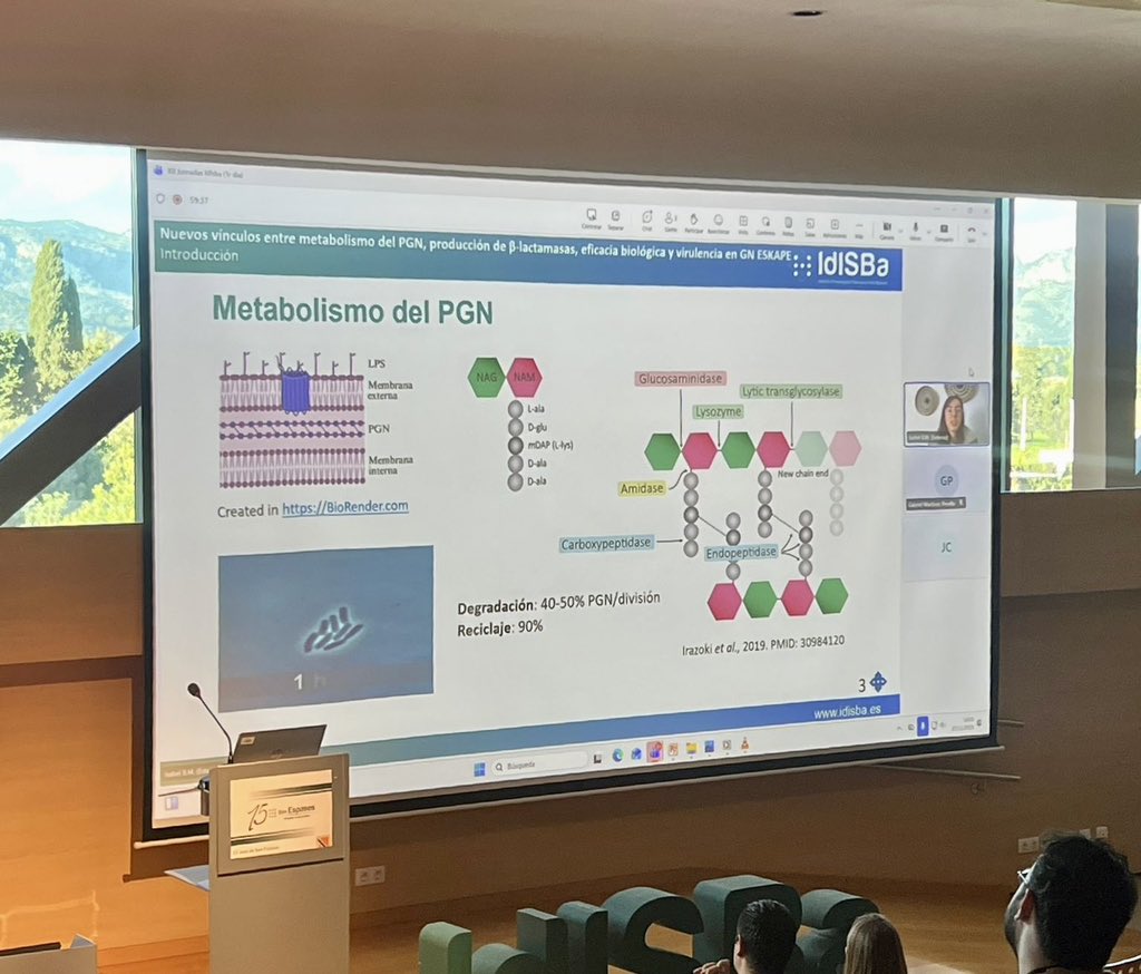 arpbigidisba tweet media