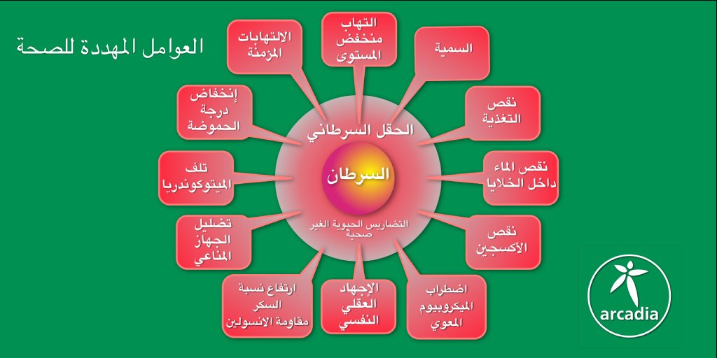 Hatim Nour حاتم نور tweet media