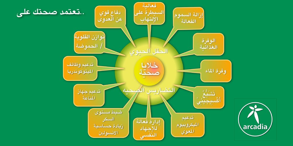 Hatim Nour حاتم نور tweet media