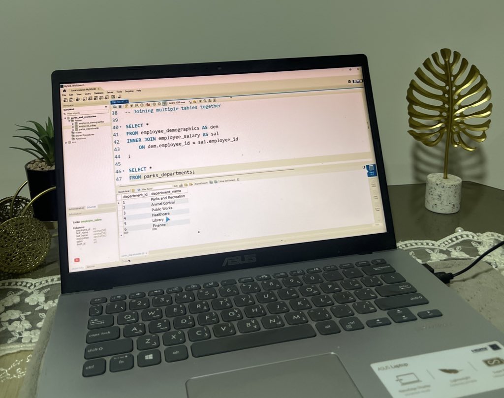 shawkyhany73's tweet image. Day 19/100
نرجع نذاكر بعد البريك 
#100DayChallenge 
#DataAnalysis
#SQL