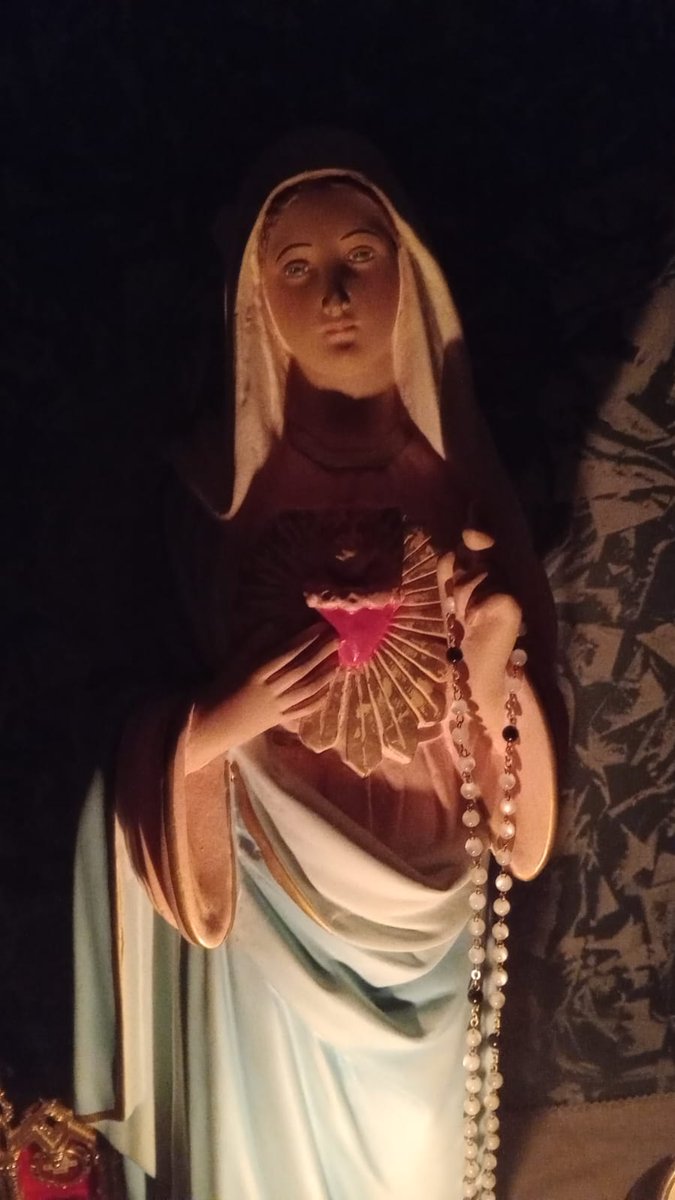 Paracleto4 tweet media