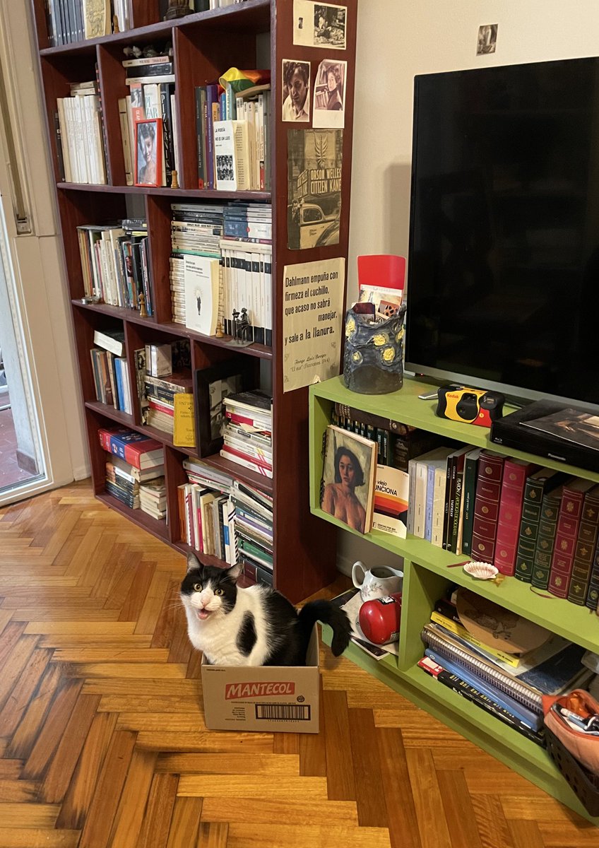 la risa que me da que una caja lo haga tan feliz