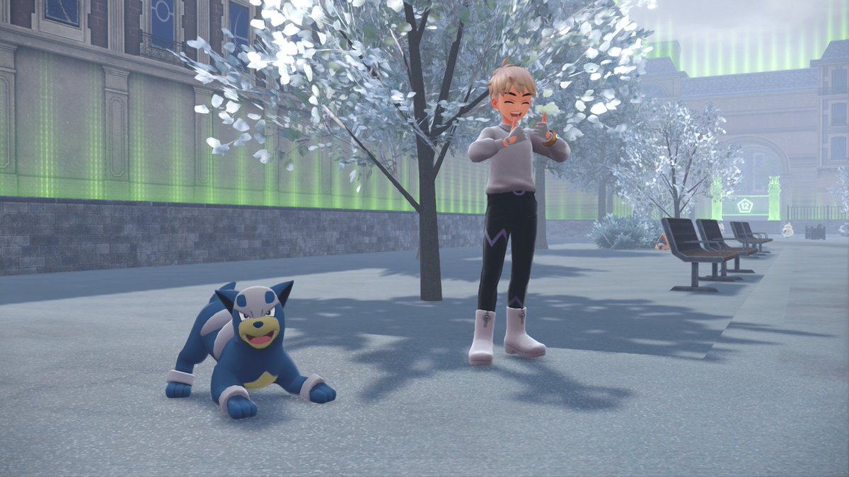 PaulCed06's tweet photo. Hikari y Kira #poke https://t.co/P9ngPLN2sp
