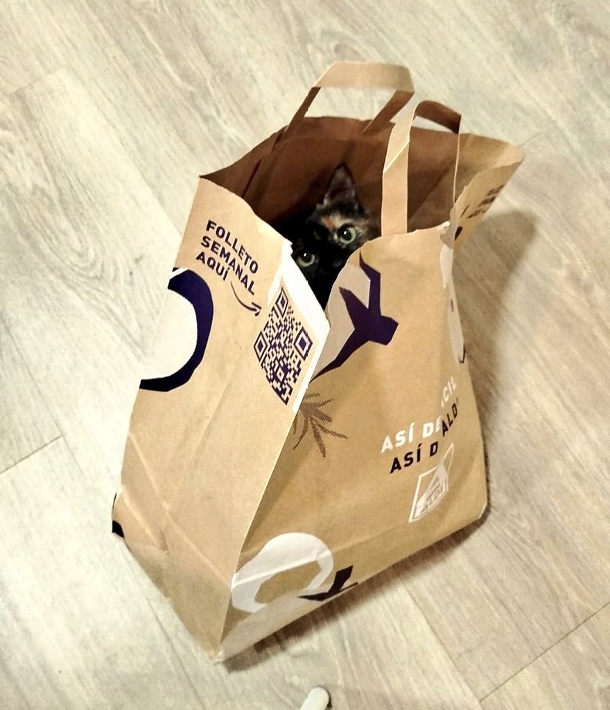 Hoy la bolsa de <a href="/Aldi_es/">ALDI España</a> viene con sorpresa 😁