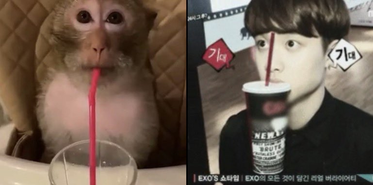 zoe ྀིྀིྀིྀིྀི seeing ateez (@k1ttyuyu) on Twitter photo 