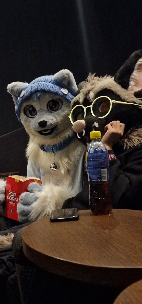 Woxy in a boxy 📦😺 - renovating 🏚️➡️🏠 tweet media