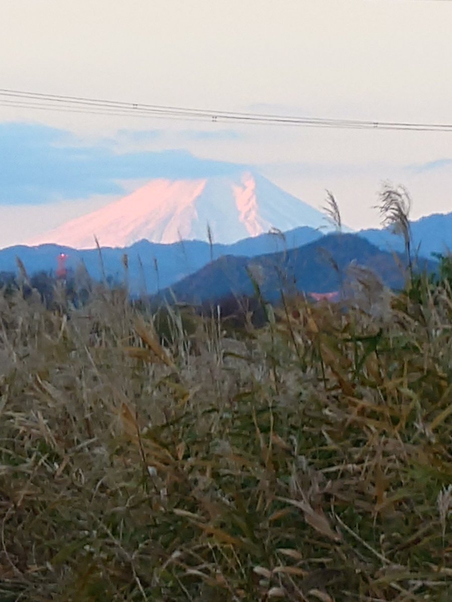 ftafyapm's tweet image. おはようございます☀🍃川散歩🚶‍♀️👣⸒⸒釣り場の途中に⛺数ヶ月前から住み込みしてる人が居る(･∀･)why?
#自然好き