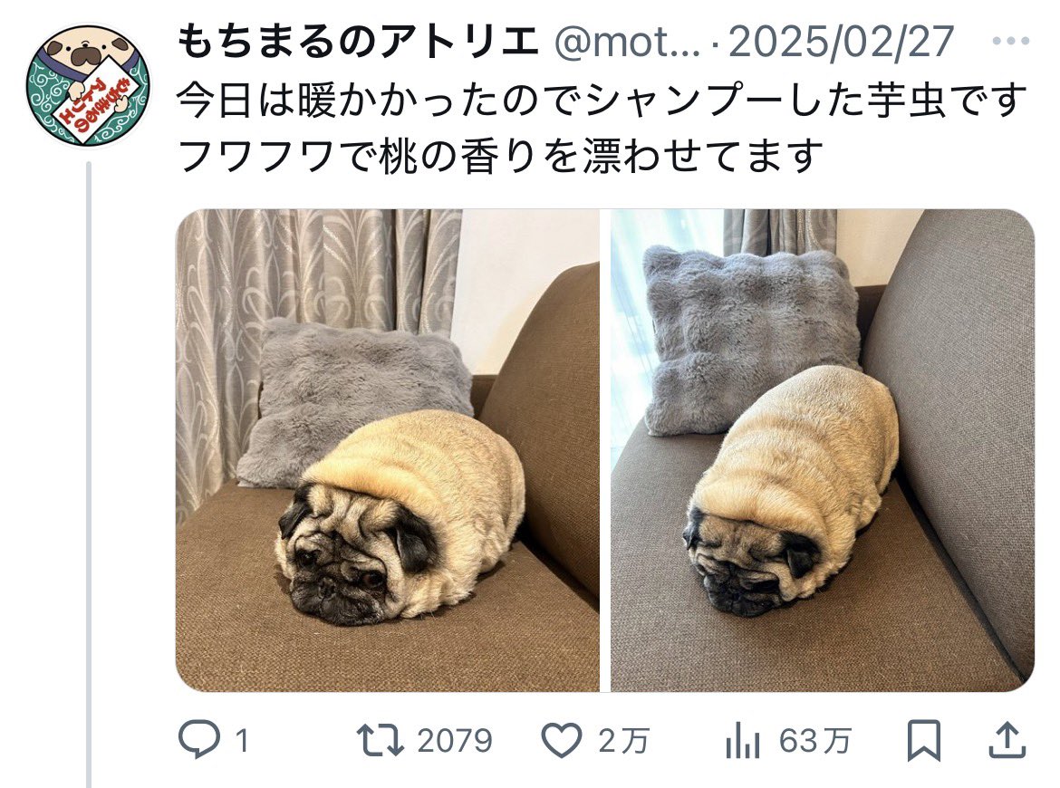 あずしゃー (@azusa7mc) / Posts / X