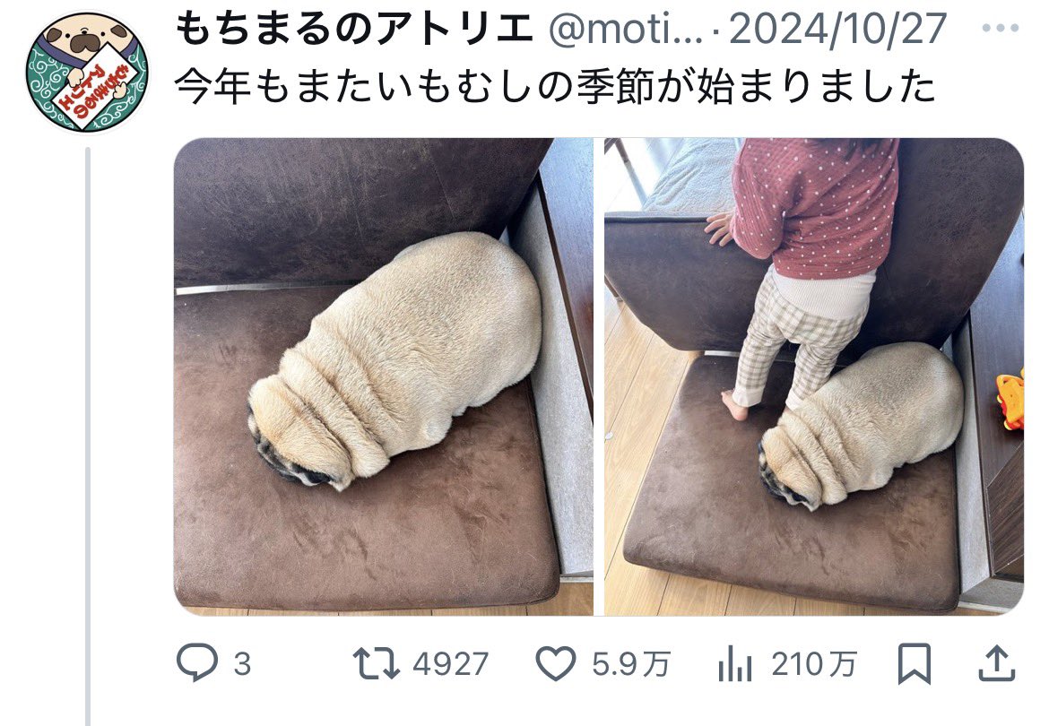 あずしゃー (@azusa7mc) / Posts / X