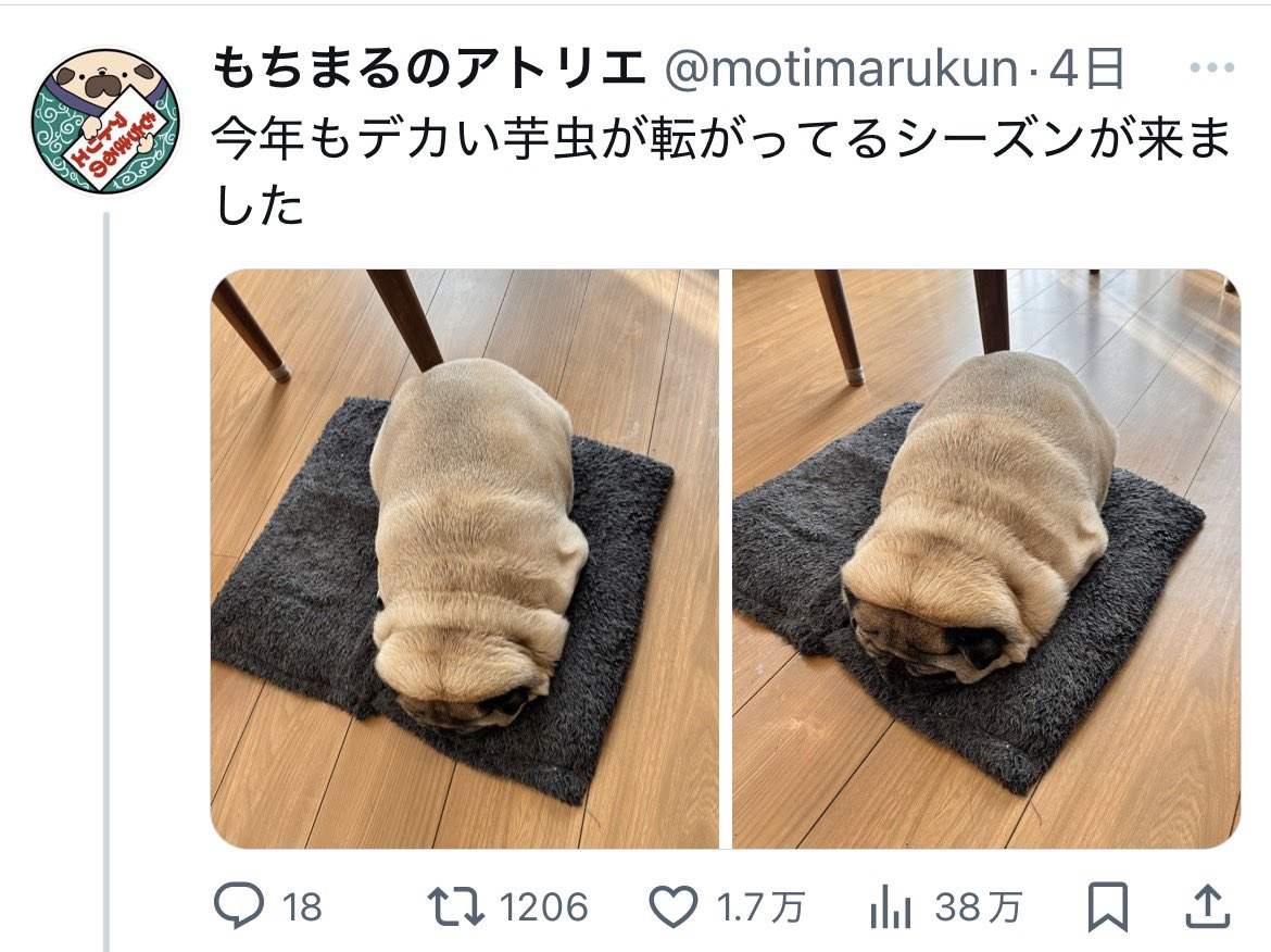 あずしゃー (@azusa7mc) / Posts / X