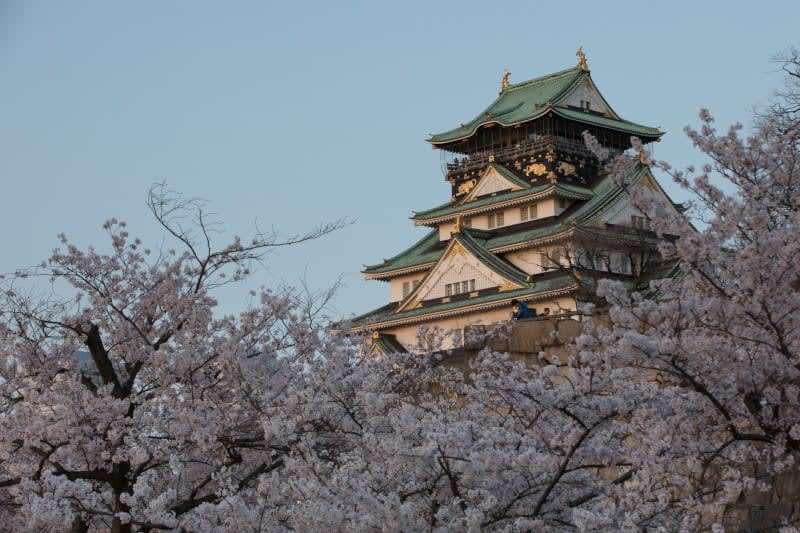 Immerse yourself in Japan's rich culture while exploring some of the most vibrant and contemporary cities on the planet! 🌸✨. Contact me today to start planning your next Cruisetour around Japan!