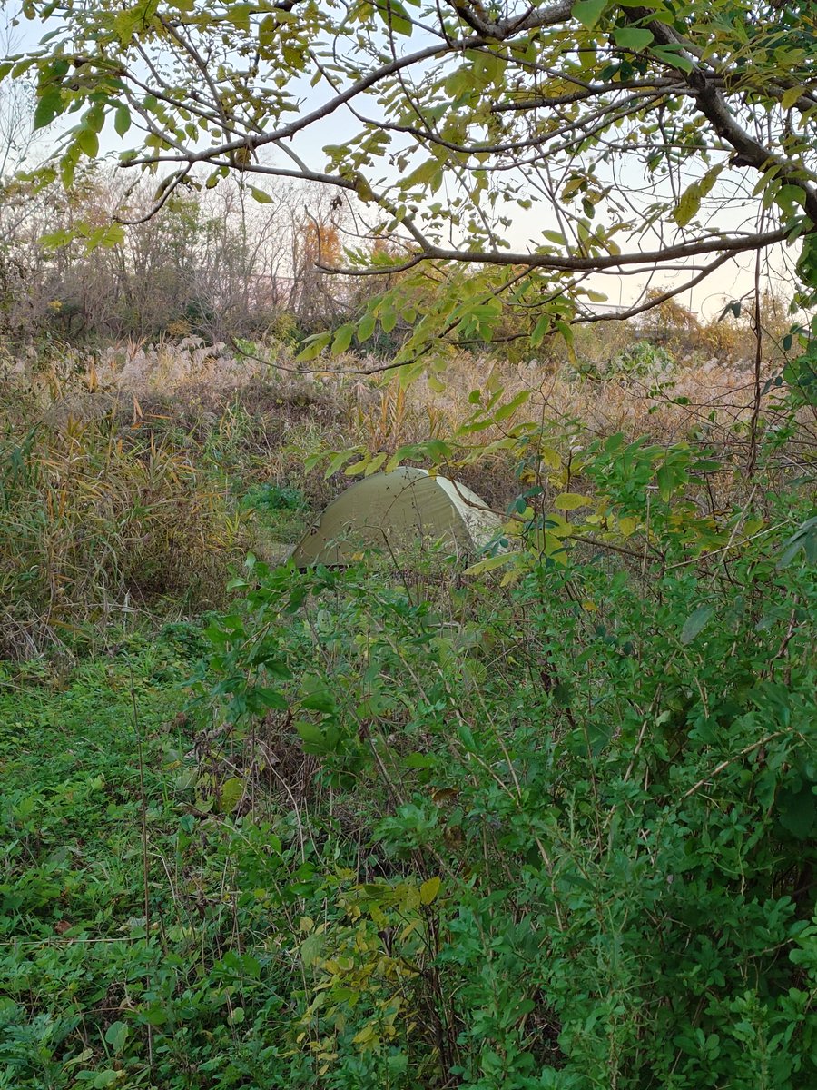 ftafyapm's tweet image. おはようございます☀🍃川散歩🚶‍♀️👣⸒⸒釣り場の途中に⛺数ヶ月前から住み込みしてる人が居る(･∀･)why?
#自然好き