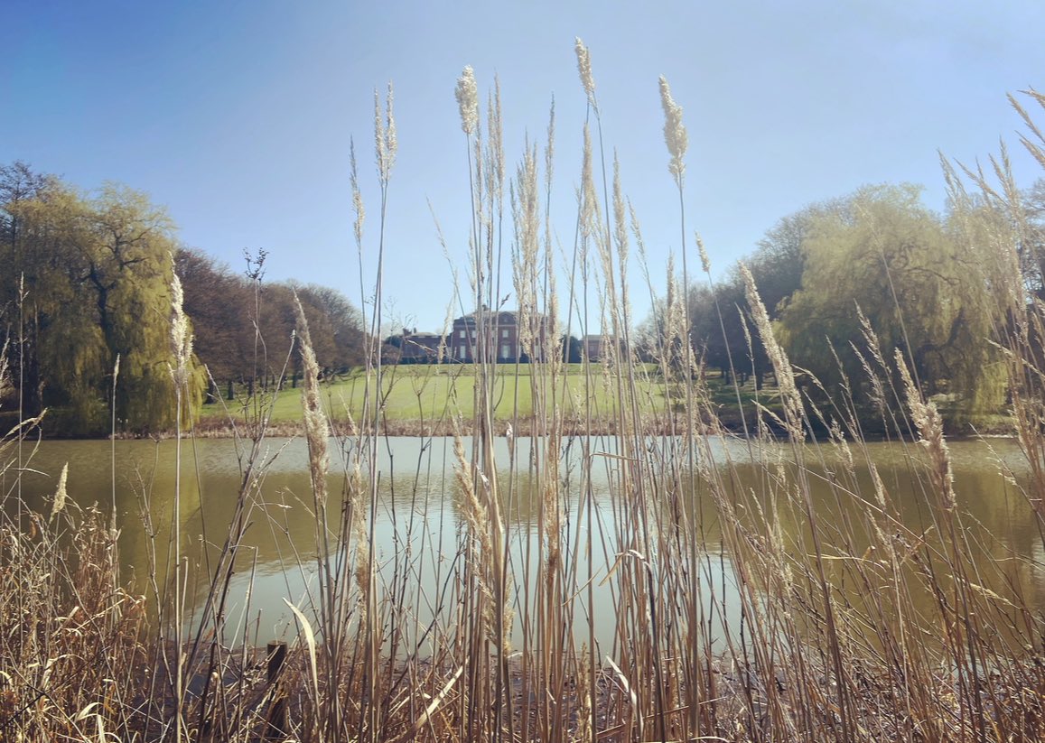 N i s h a P a r m a r 🌸🐝 tweet media