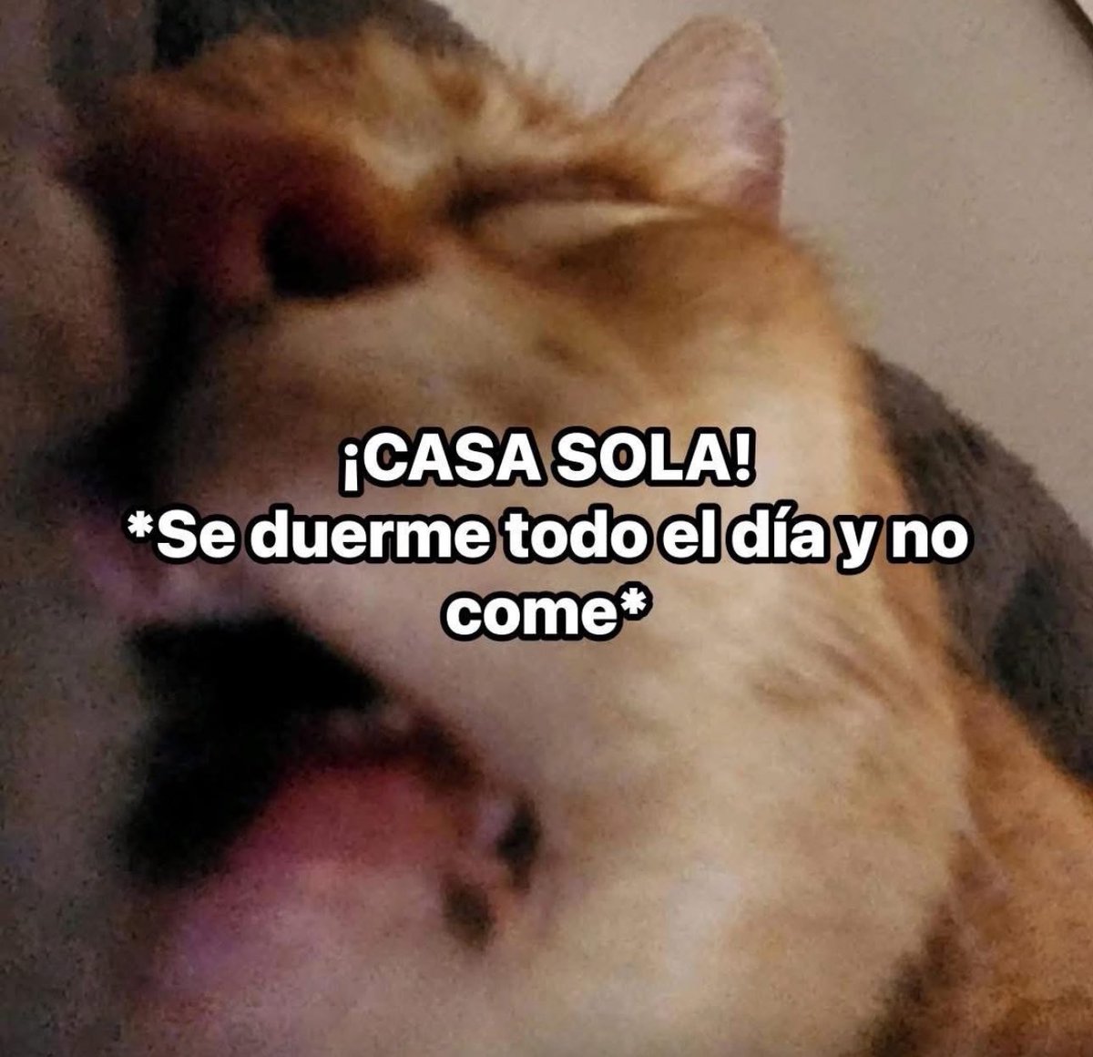 skereunpesado's tweet image. 