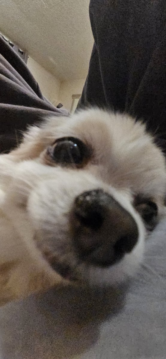 jamdfaon tweet media