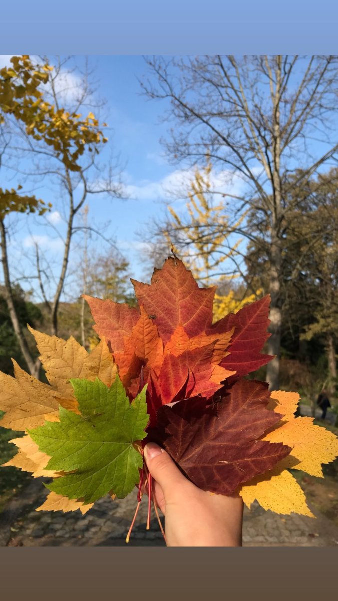 mucerred34's tweet photo. @betulturksoy_ 🍁 https://t.co/f29KQsSYDH
