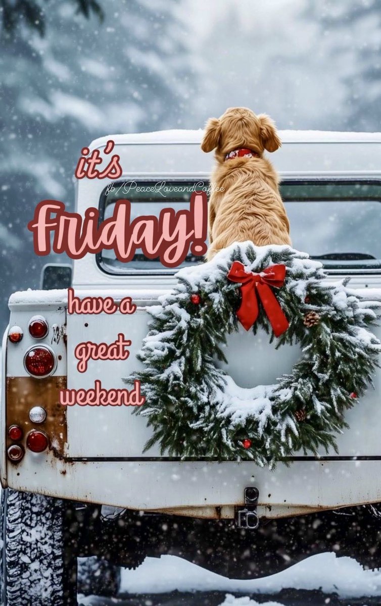 LejmanMargie's tweet image. it’s Friday! ❤️🐾❄️🛍️🎄
#fridayfun #weekend
