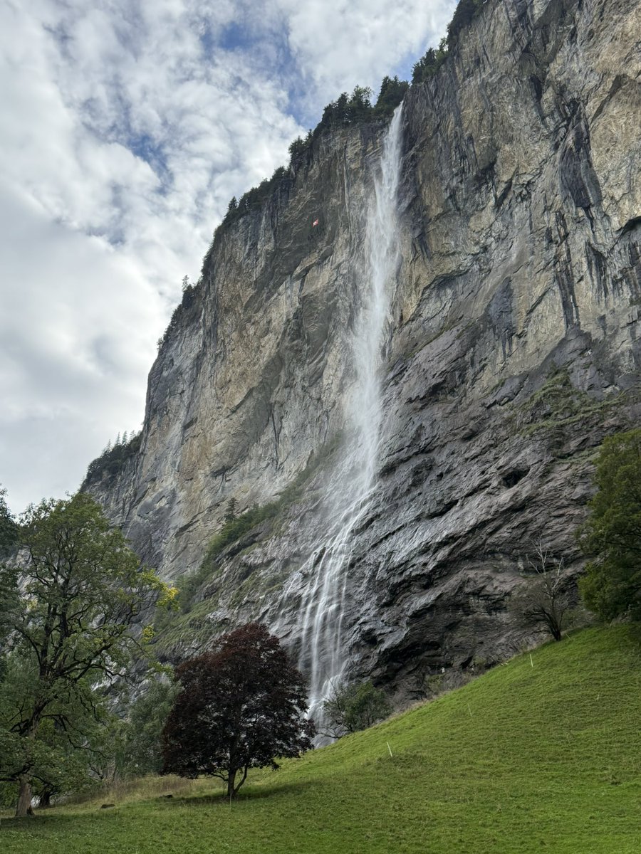 Wanderlusting Travel Bug tweet media