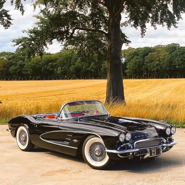 kmandei3's tweet image. #FrontEndFriday Beauty