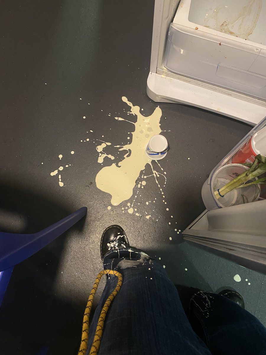 dante 🍉 tweet media