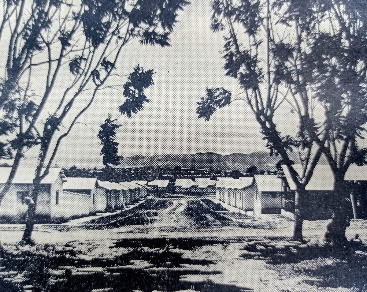 Inaugurando la Colonia "Bethania" el Ministro de Comunicaciones y Obras Públicas Coronel Carlos Aldana Sandoval. (1952)
 Casas dadas a los damnificados del temporal de octubre de 1949.
#lacalledondetuvives