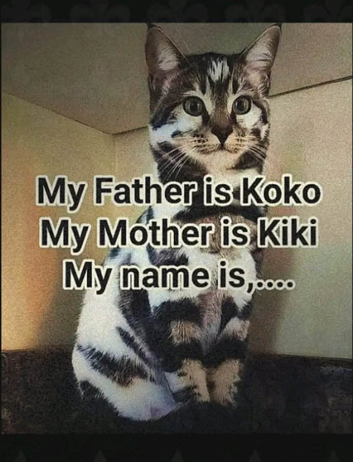 ohhanxiety's tweet image. My name is?