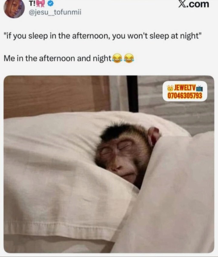 StephanieU404's tweet photo. Main reason I admire being self employed 😂😂 https://t.co/3HdbakFe9V