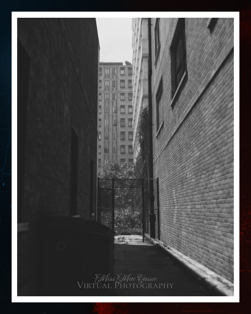 Side alley, Washington DC | Nº 92
Game: Tom Clancy's #TheDivision2 | #VirtualPhotography | #VPinBW
x.com/MissMacCassie/…