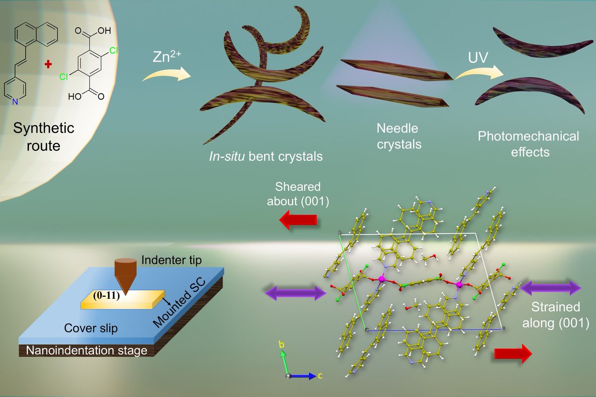Mir Research Group tweet media