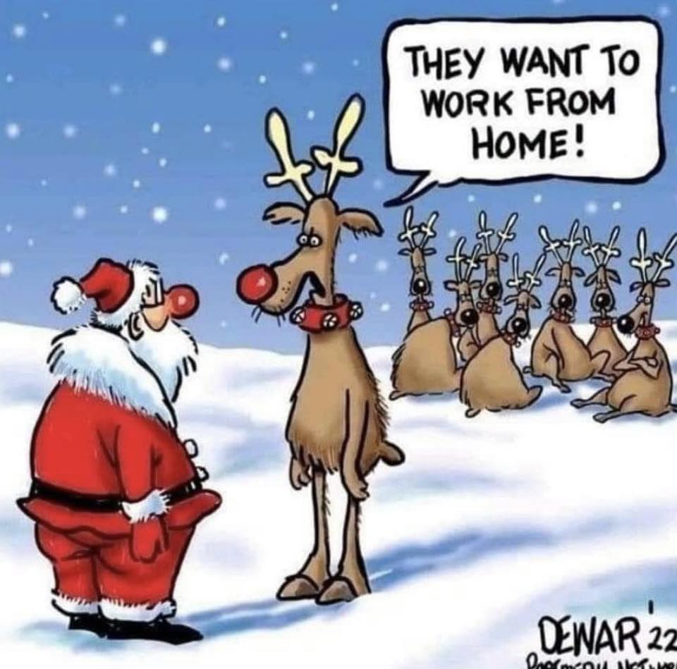 gregcatarino1's tweet image. 