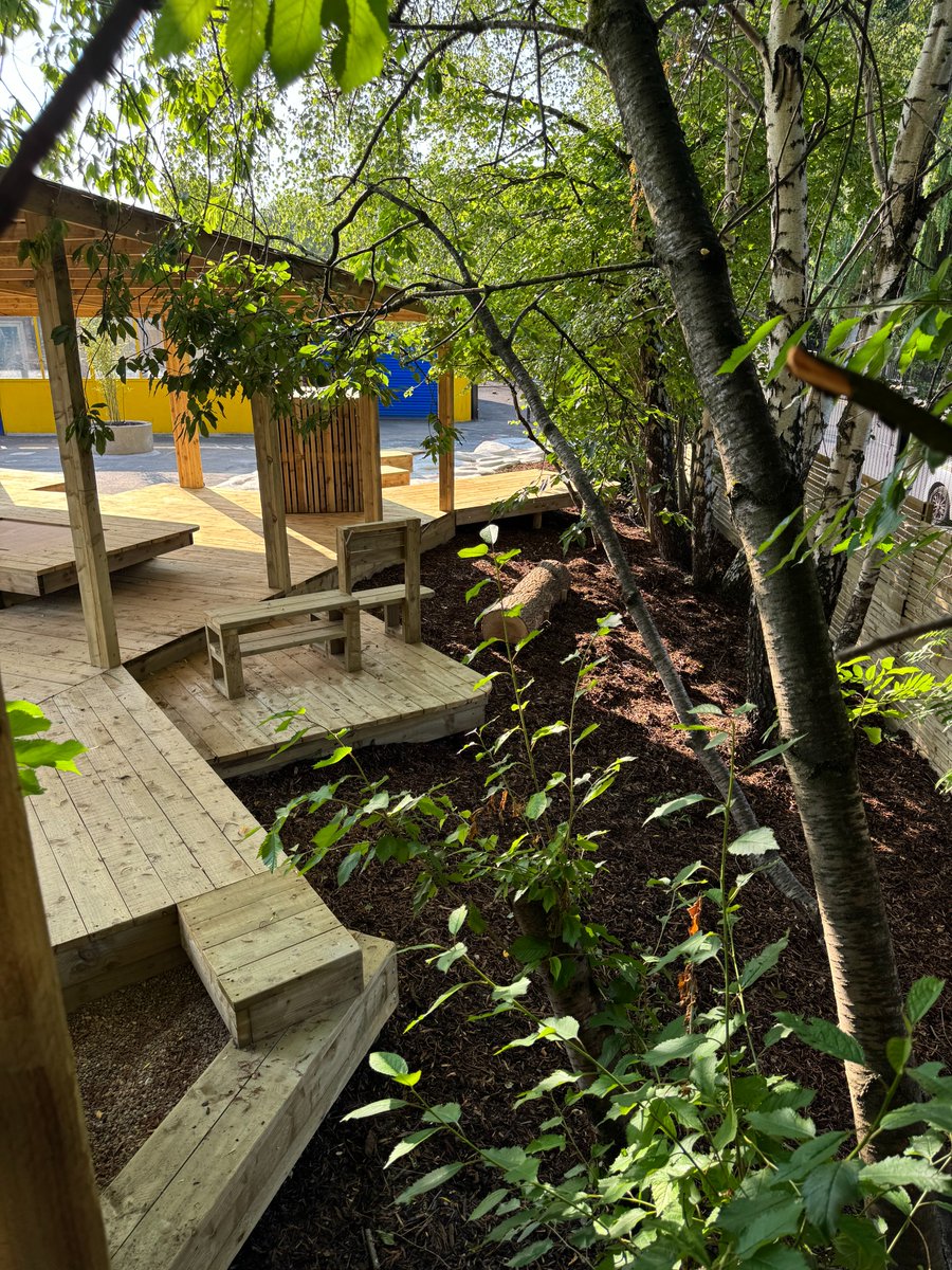 Saviour Primary School tweet media