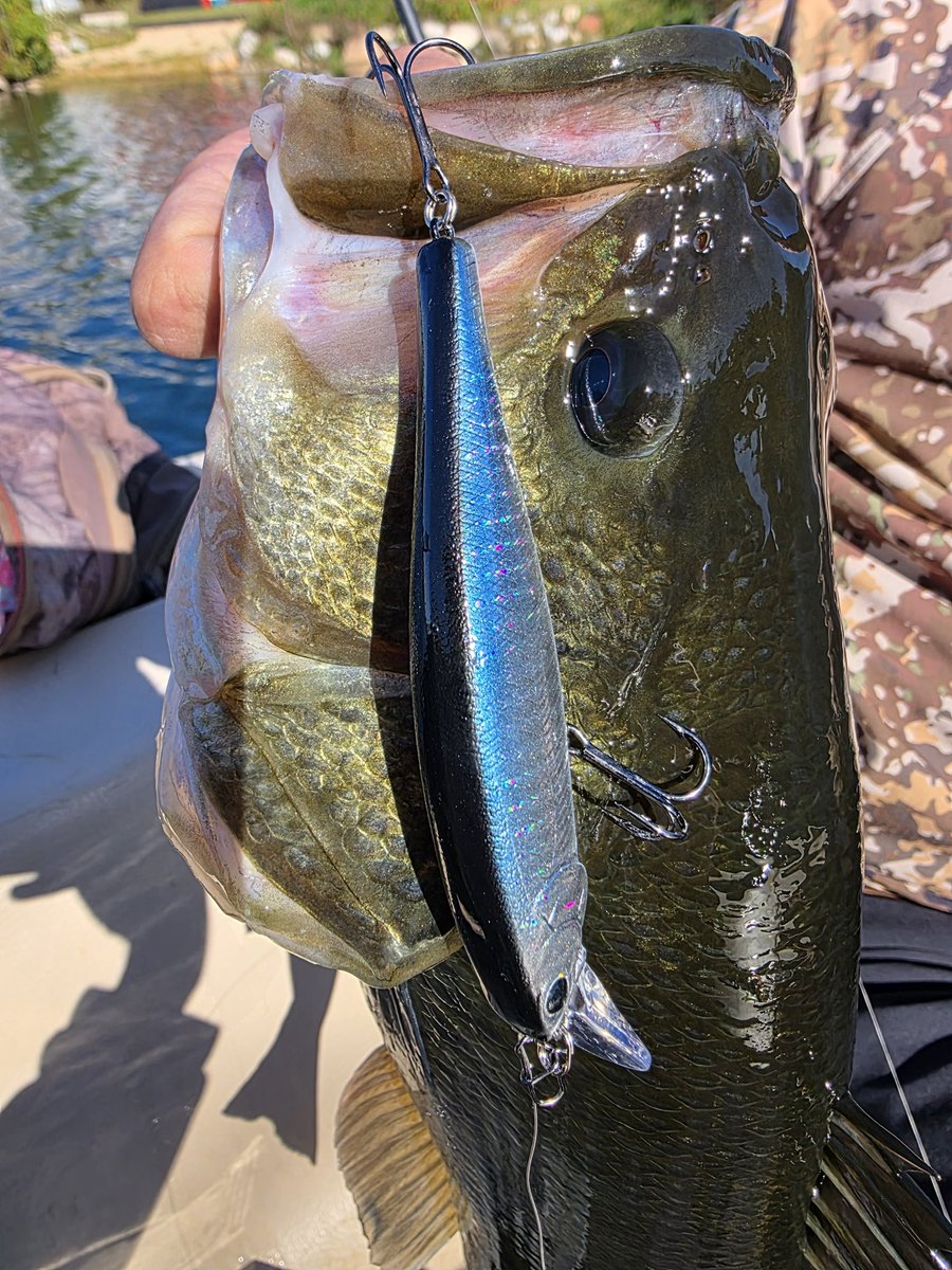“The Pointer 100 is still one of my favorite jerkbaits when the wind is blowing. Casting with my 7 ft medium light action St Croix with a 12 lb fluro leader, this big largemouth hit the Zebra Aurora Shad color.”-Railin' 10's Guide Service #Pointer100 #ZebraAuroraBlack #LuckyCraft