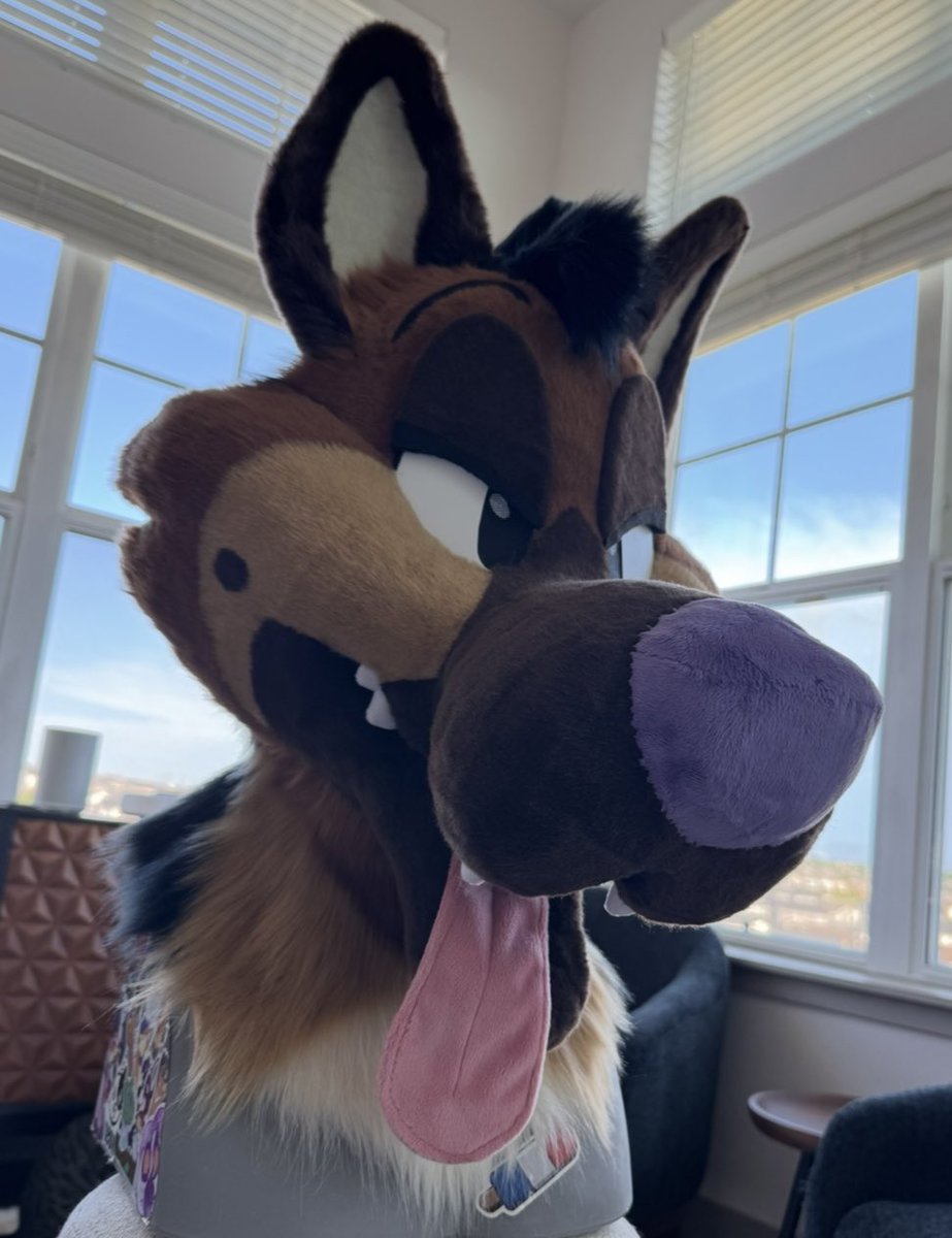 Rocket_Pup_Prod's tweet image. ‼️BLACK FRIDAY DEAL PLEASE RT I NEED HIM GONE‼️
Selling this toony guy for a flat price of 3k 
That’s 1,500 off from my base prices 😱
Head fits 20-22 1/2 inches!
Please message my telegram if interested @rocketpupproductions 
(Offer extends through Mon, payment plans are ok!)