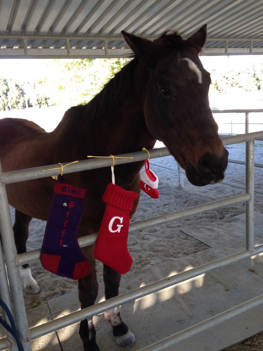 GloriousAllianc's tweet image. A shot of K as my Elf and me in my reindeer hat! I also had three separate Christmas stockings... As we see, life was tough... @Cdnfarmgirl
