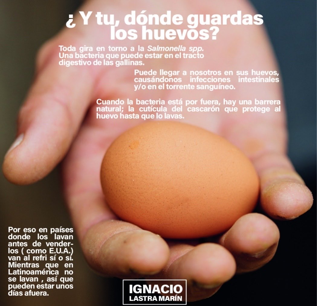 #Familia 🍃

🥚 Si quieres que tus huevos mantengan su calidad refrigéralos 🥚

#NachoLastra 🌱