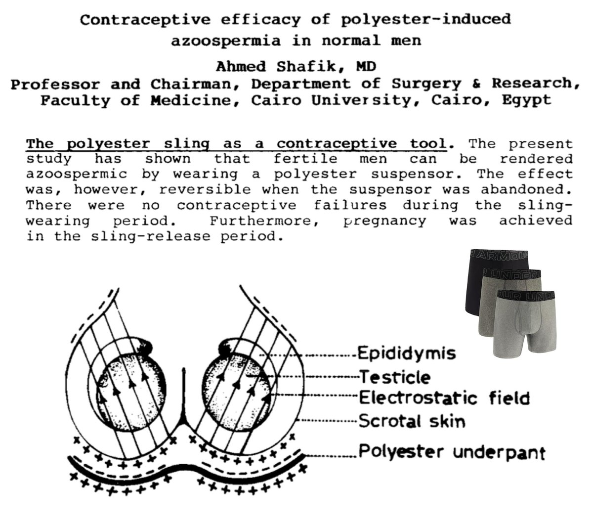 lowmegatron's tweet image. Polyester underwear makes men infertile and shrinks the testicles.

“A new theory is put forward holding that the polyester underpants create an "electrostatic field" across the scrotal sac that disturbs the testicular and/or epididymal function... This study could explain the…