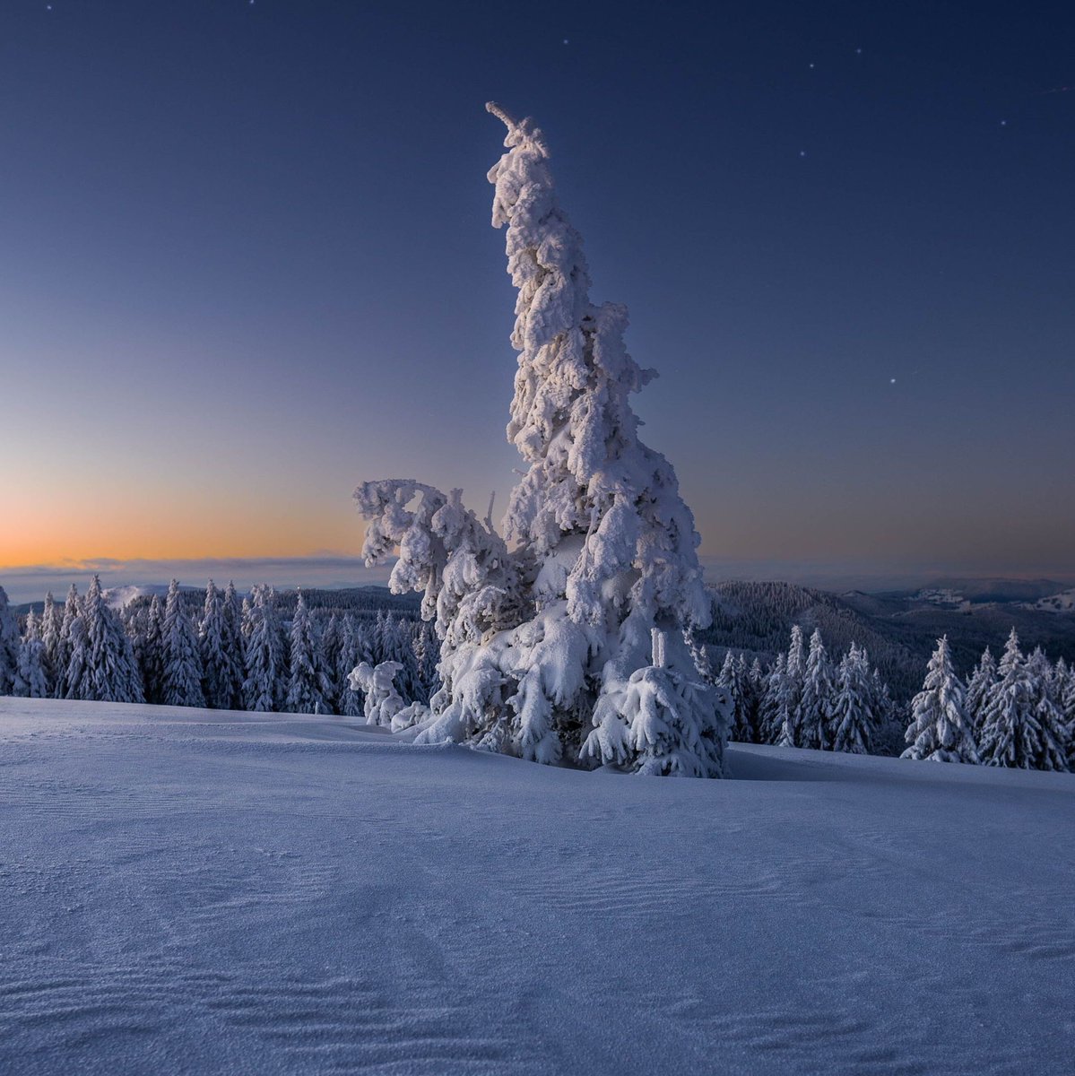 WetterOnline's tweet photo. Winterzauber im Südschwarzwald vom 28.11.2025!
Auf dem Feldberg zeigt sich der Morgen von seiner schönsten Seite: Tief verschneite Tannen, eine glitzernde Schneedecke und warmes Licht, das die Landschaft in Pastellfarben taucht.
📷 Niklas Reichenauer
#feldberg #sonnenaufgang https://t.co/IyXioGeJx0